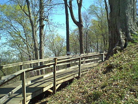 Historic view of the steep road leading up toward Fort Duffield along a wooded hillside, following the route used by Union soldiers hauling supplies to the ridge in 1861–62.