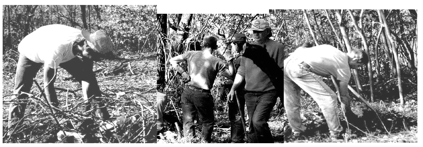 Volunteers clearing