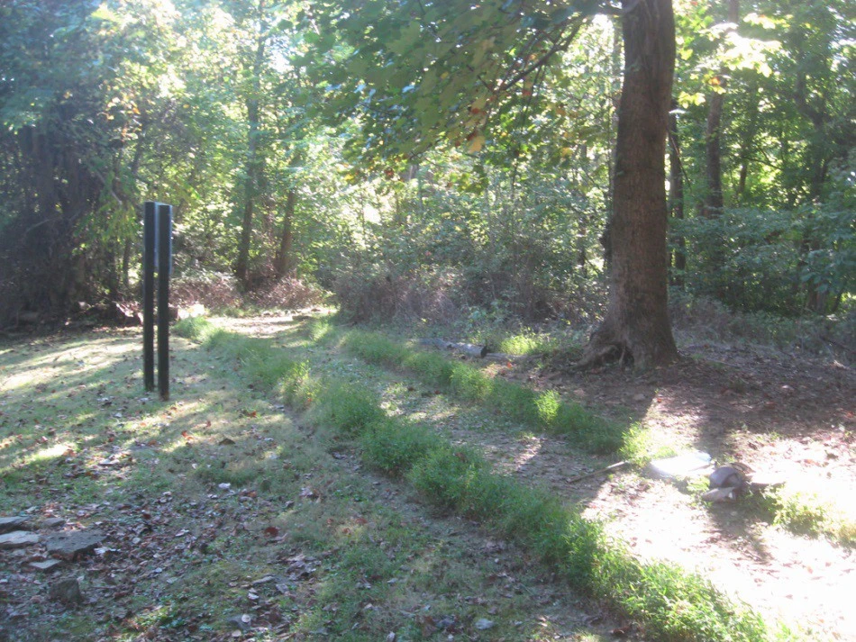 GPR Trench Interpretation