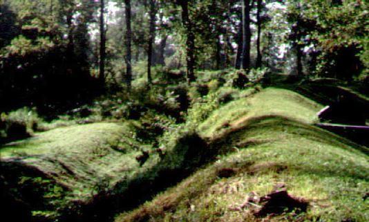 Fort Entrance Trail
