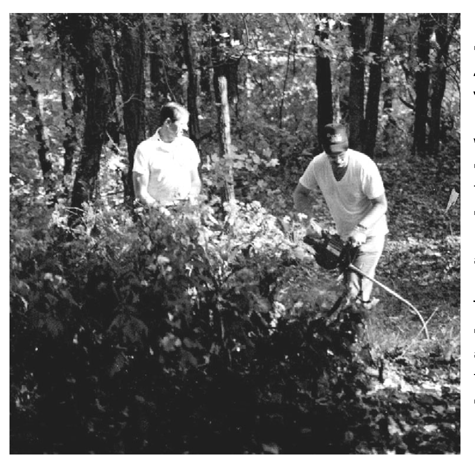 Cleanup cemetery