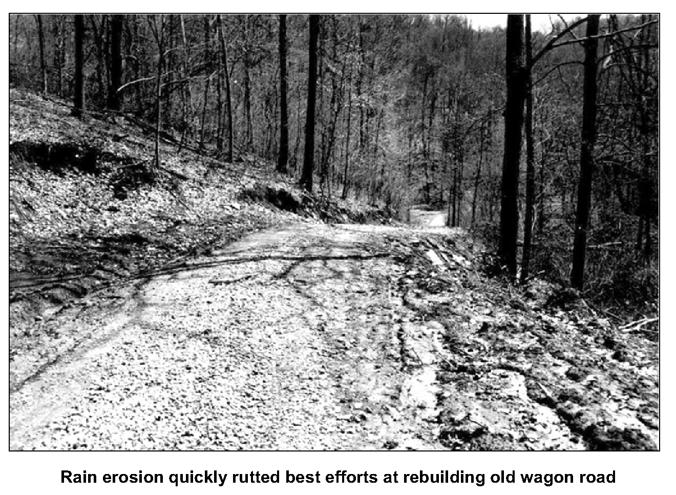 Old wagon road