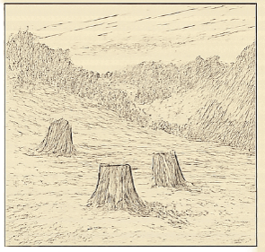 Cleared slopes in 1861
