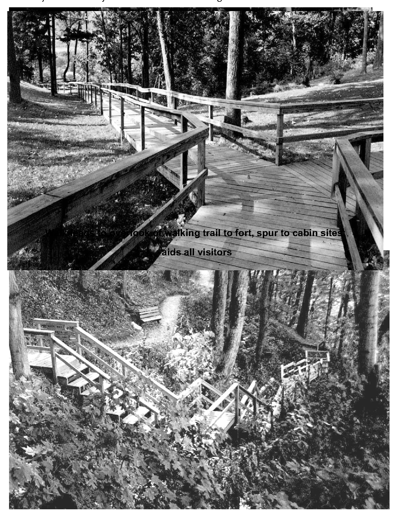 Walkway to cabin site