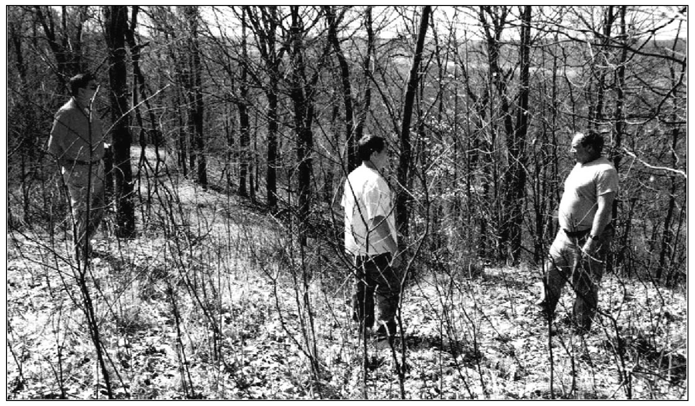 Brush burning